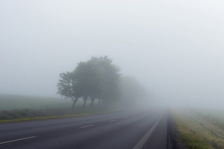 Avertizare meteo! Sudul Dâmboviței, sub atenționare  Cod galben de ceață