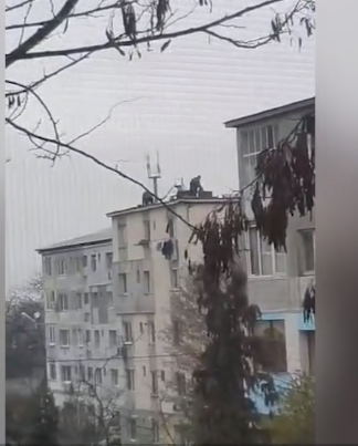 De necrezut! Au tăiat porcul de Crăciun pe acoperișul blocului. Vecinilor nu le-a venit să creadă ceea ce văd
