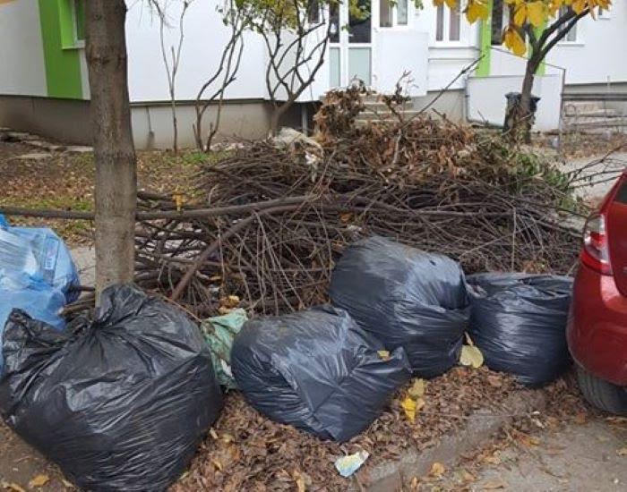 Modificări importante la legea deșeurilor. Amenzi mai mari și noi obligații pentru autoritățile locale