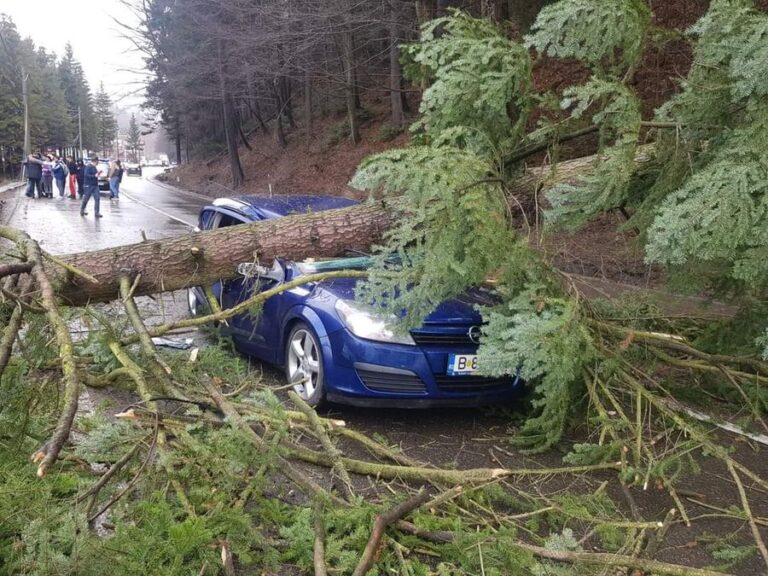 Au văzut moartea cu ochii! Un arbore de peste 10 metri a căzut peste o mașină aflată în mers