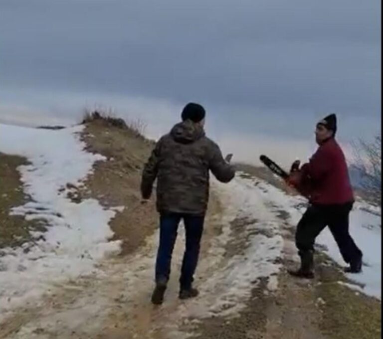 Scene șocante într-o pădure din Argeș! Pădurari, atacați cu drujbe și topoare de hoții de lemne