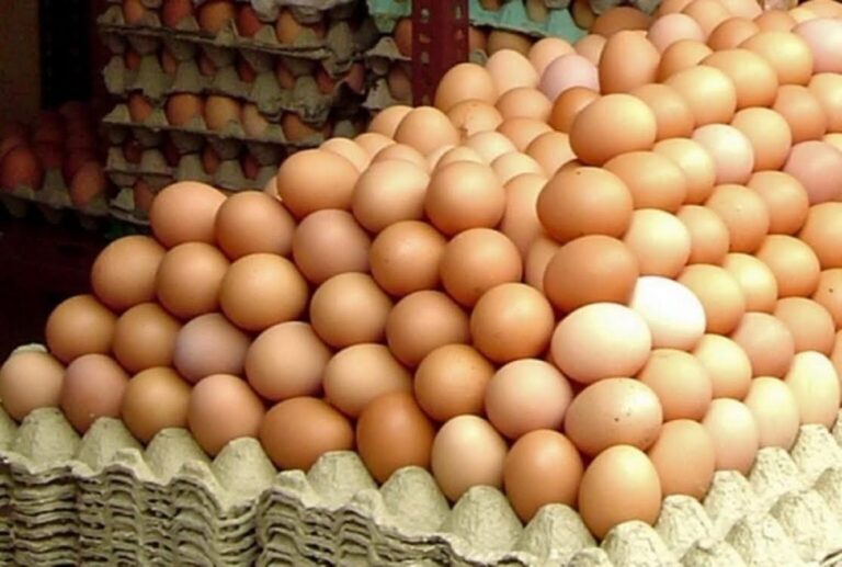 Consumul de ouă crește cu 50% în perioada Sărbătorilor Pascale. Oferta poate fi asigurată complet din producție internă