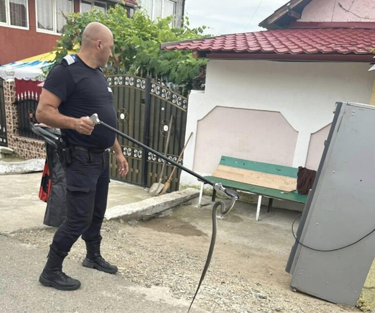Panică într-un sat! Un șarpe de peste un metru a fost scos de jandarmi dintr-un aparat de cafea