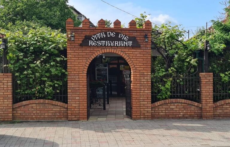 Târgoviște: Vița de Vie, un restaurant cu mâncare ca la mama acasă! Meniul zilei este nelipsit