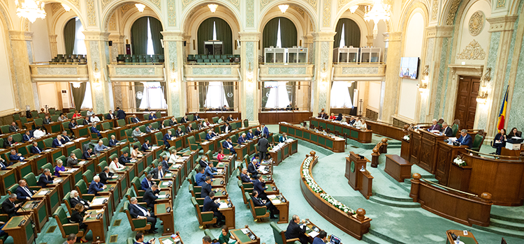 Persoanele cu dizabilități însoțite de câini ghizi, acces neîngrădit în instituții, magazine, transport în comun sau taxi. Vot unanim în Senat pentru inițiativa USR