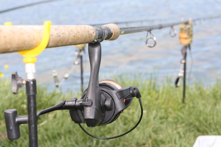 Amenzi de zeci de mii de lei în Dâmbovița pentru pescuit ilegal! Raid în forță al jandarmilor