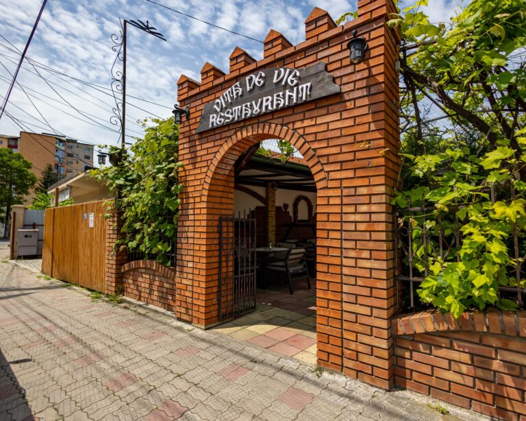 Târgoviște: Mâncare super gustoasă, gătită după rețete tradiționale, la Restaurantul Vița de Vie
