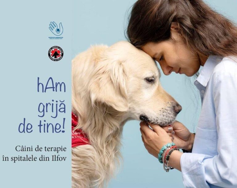 „HAM grijă de tine” – proiect inedit de terapie cu câini în trei spitale din România