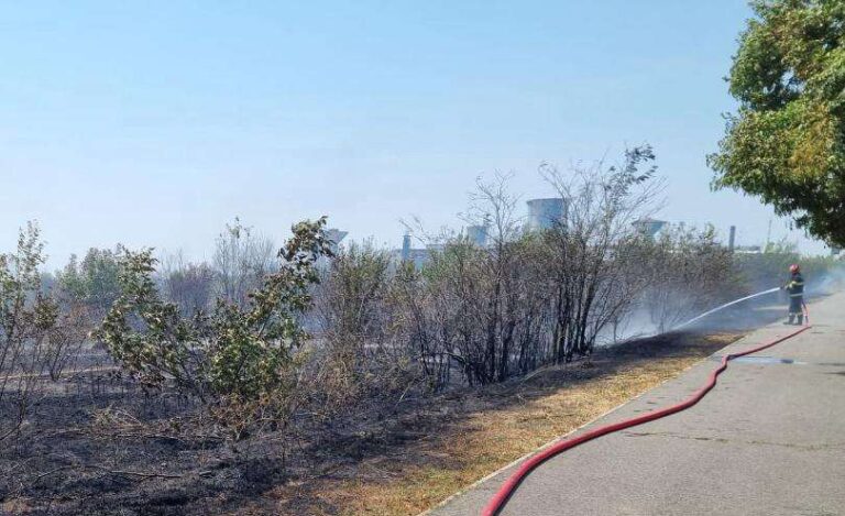 Incendiu puternic de vegetație în apropiere de centura municipiului Târgoviște! Intervenția pompierilor este îngreunată de vânt