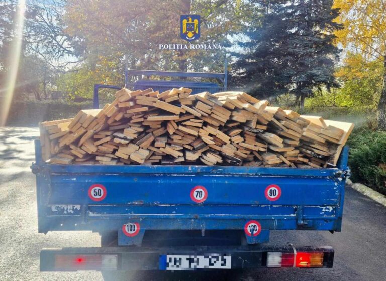Prinși cu lemne fără acte, în Dâmbovița! Amenzi de 11.000 de lei, după ce transportau material lemnos cu autoutilitarele și căruțele
