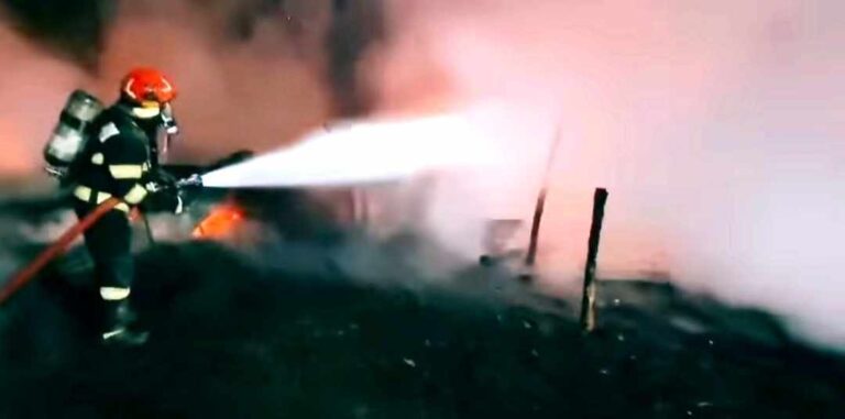 Incendiu devastator în Prahova! Peste 100 de animale au murit după ce flăcările au mistuit un saivan și au distrus mai multe grajduri