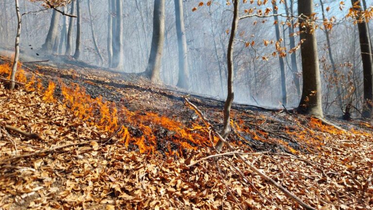 Incendiu de amploare în apropierea Mănăstirii ,,Cetățuia”! Pompierii se luptă cu focul izbucnit într-o pădure din comuna Cetățeni. A fost solicitată intervenția unui elicopter Black Hawk, dotat cu sistem Bambi Bucket