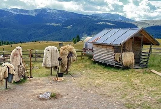 Nenorocire la o stână! Un băiețel de 3 ani a murit după ce a înghițit o substanță folosită la deparazitarea oilor