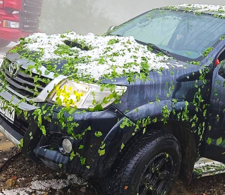 Natura s-a dezlănțuit în județul Bacău! Grindina a făcut prăpăd în două localități