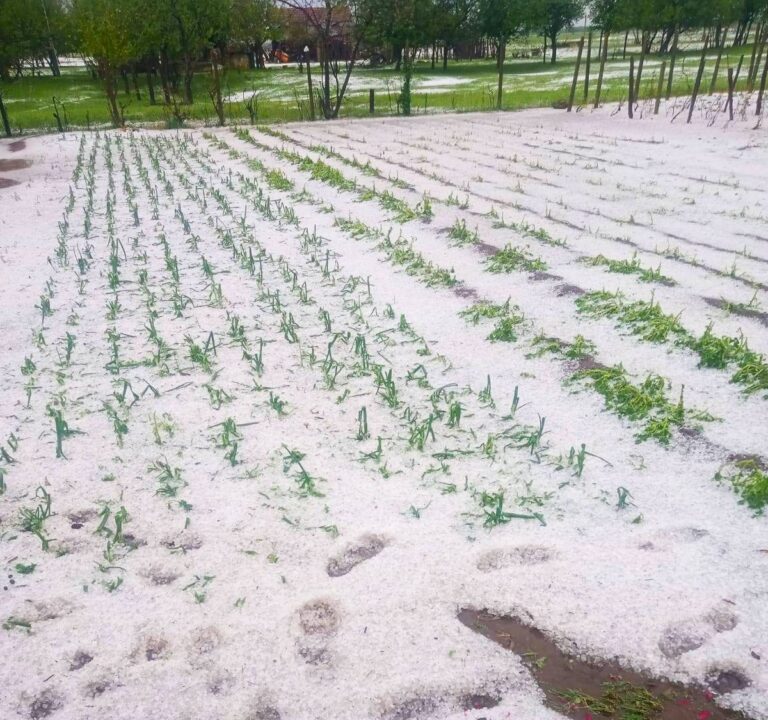 Peisaj de iarnă într-un sat din Mehedinți! Grindina a făcut prăpăd! Localnicii au fost șocați