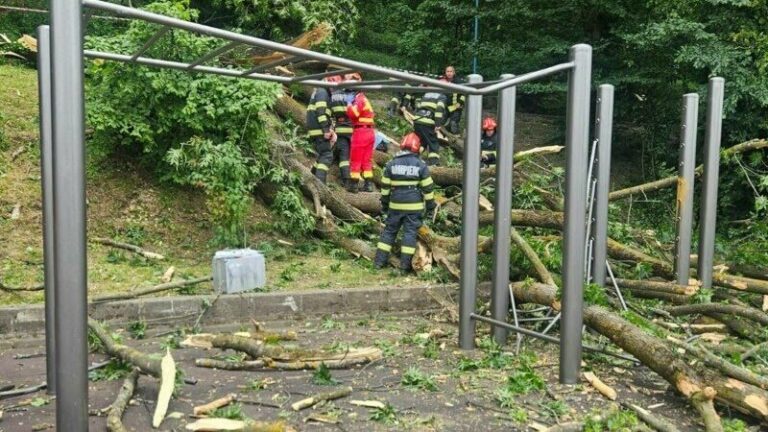 Incident tragic în orașul Brașov: Un tânăr și-a pierdut viața după ce un copac s-a prăbușit peste el. A fost rănită și o femeie