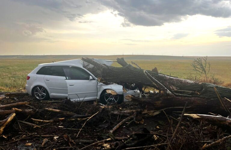 La un pas de tragedie! Un copac, doborât de vânt, a căzut peste o mașină. Doi copii, de 8 și 9 ani, dar și două femei, de urgență la spital