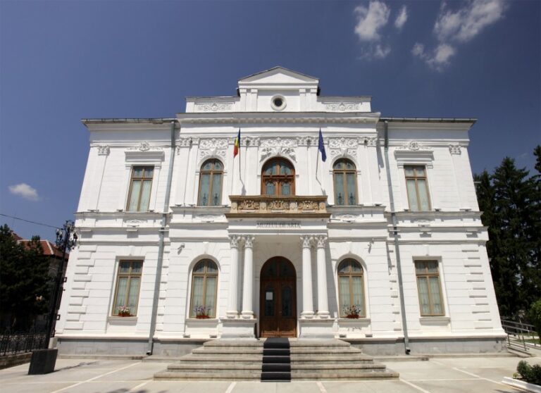 Ample acțiuni de dezinsecție și deratizare în cadrul muzeelor dâmbovițene