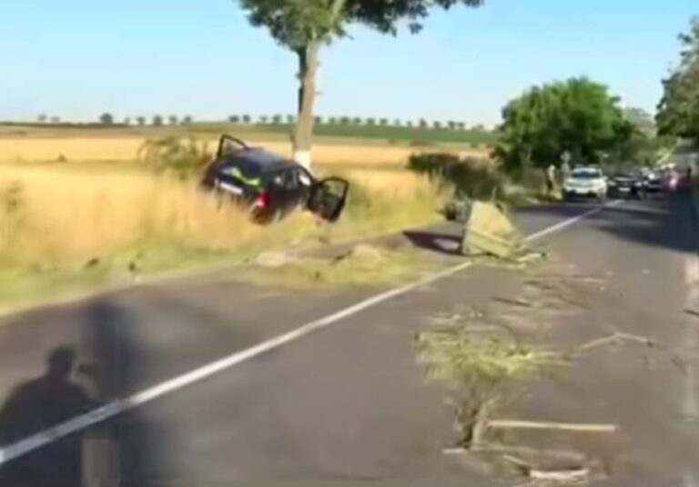 Căruță spulberată de o mașină pe DN 3! O fetiță de 11 ani și-a pierdut viața, iar alte patru persoane au fost transportate de urgență la spital