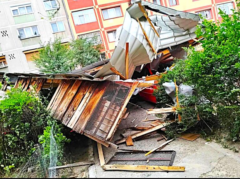 O furtună violentă a făcut prăpăd la Reșița! Acoperișuri smulse de vânt și copaci doborâți peste mai multe mașini