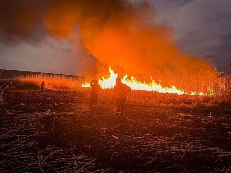 Creștere alarmantă a incendiilor de vegetație prin arderea nesupravegheată a miriştilor. Apel la populație al comisarilor de mediu