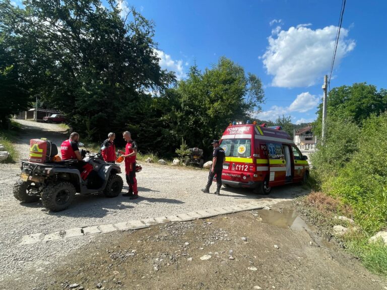 Fată atacată și mușcată de un câine în zona montană a Brașovului! Avertismentul salvamontiștilor: ,,Atenție la câinii de la stână!”