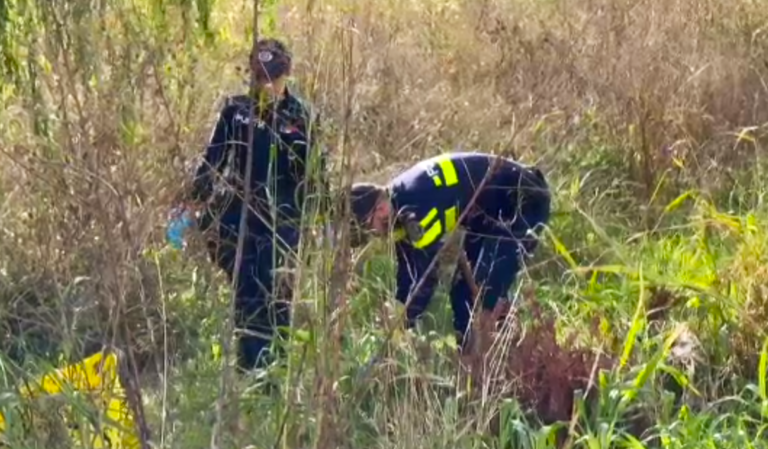 Descoperire terifiantă într-un canal! Copilaș de 3 ani, găsit fără suflare. Primele verificări indică un posibil atac canin