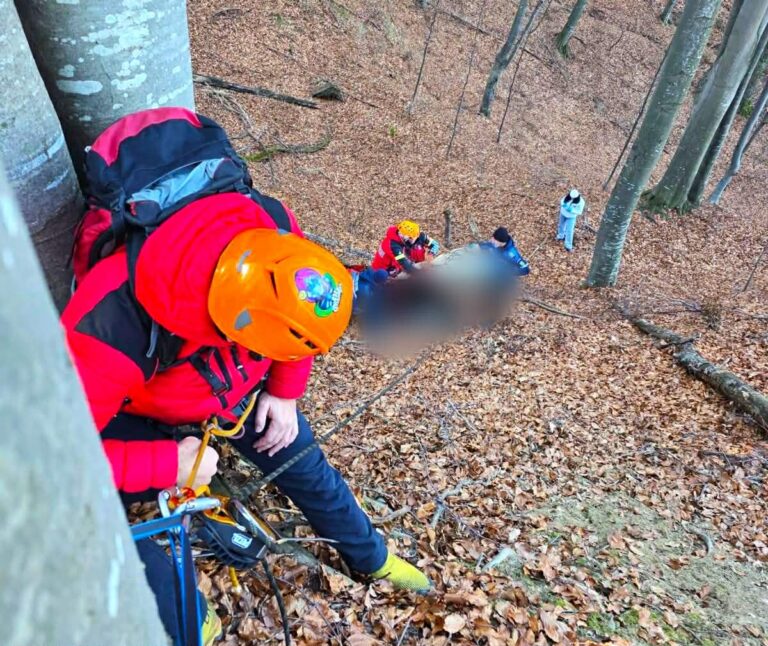 Dispărut de două zile, găsit fără suflare într-o pădure! Bărbatul de 51 de ani plecase de la o stână