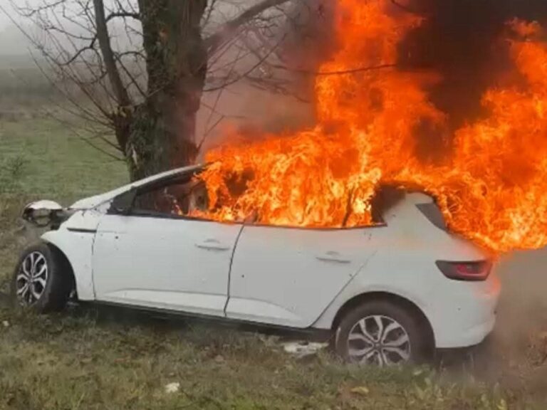 Impact nimicitor cu copacul! Un tânăr de 19 ani a pierit pe loc într-un accident înfiorător. Autoturismul a fost cuprins de flăcări