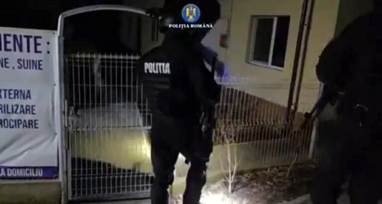 Percheziții de amploare în patru județe într-un dosar de eutanasiere ilegală a câinilor fără stăpân! Suspecții sunt acuzați de înşelăciune, abuz în serviciu, uciderea animalelor cu intenţie și fals în înscrisuri