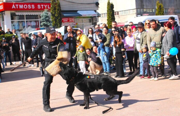 IMG_5859-1024x664