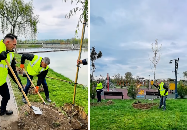Peste 300 de arbori plantați în Parcul din apropierea Complexului Turistic de Natație din Târgoviște