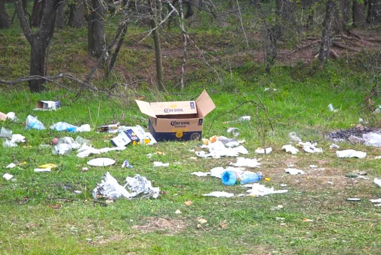 Natură batjocorită în zi de sărbătoare! Pajiștea din apropierea pădurii Ghimpați, sufocată de gunoaie după Paște. Reacție dură a primarului din Răcari: „V-ați rugat, v-ați închinat, ați luat lumină. Și!? Ce ați făcut cu ea?!”