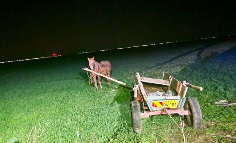 Noapte de coșmar! O căruță s-a răsturnat într-o curbă, iar un bărbat și-a pierdut viața pe loc