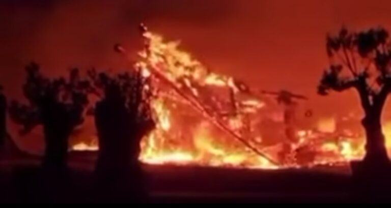 Incendiu de proporții pe plaja din Mamaia! Două beach baruri au fost mistuite de flăcări
