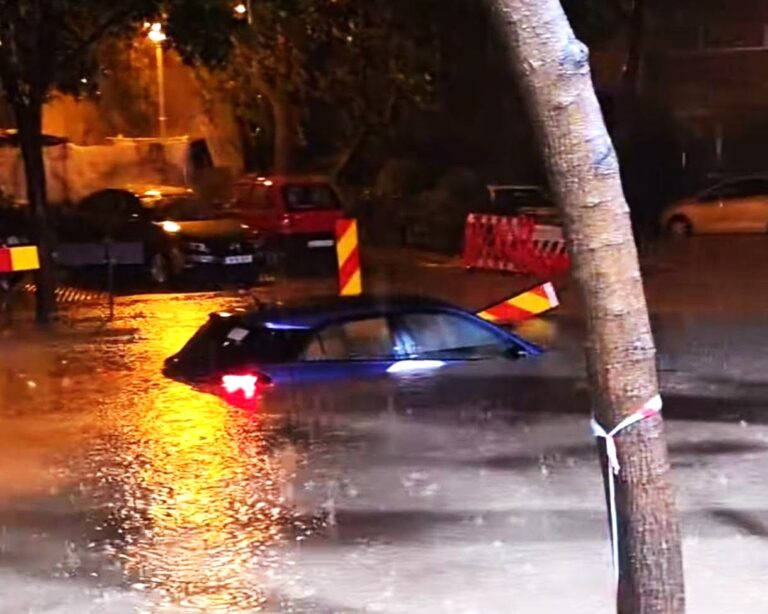 Prăpăd în București și Ilfov! O furtună violentă a făcut ravagii: un bărbat a murit, sute de copaci doborâți, zeci de străzi inundate și numeroase mașini avariate