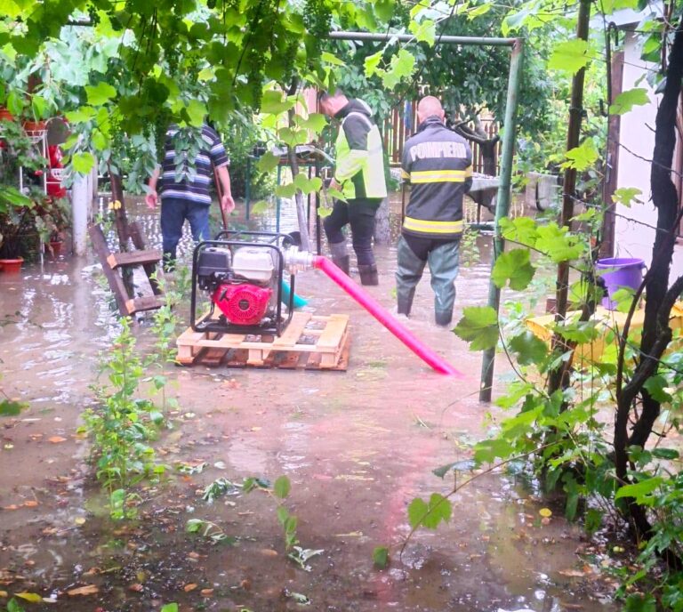 Haos și la Moreni după potop! Gospodării inundate, copaci căzuți și drumuri afectate după ploile torențiale. Echipele de intervenție, mobilizate după furia naturii