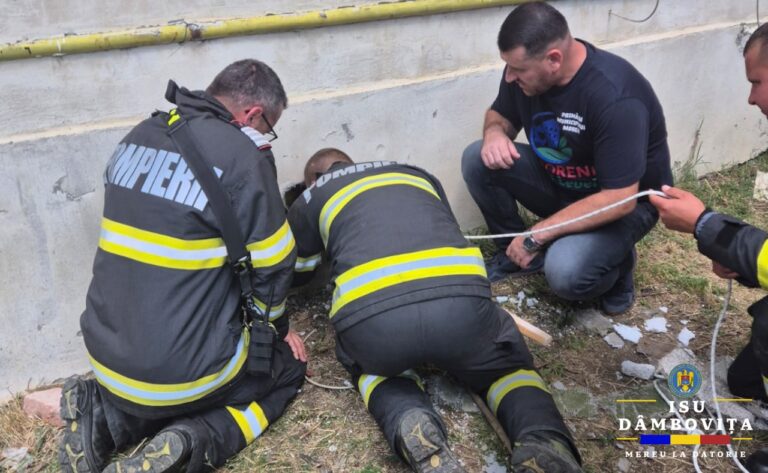 Fiecare viață contează! Gestul înduioșător al pompierilor morenari! Au salvat un cățel în ultima clipă dintr-un subsol de bloc inundat