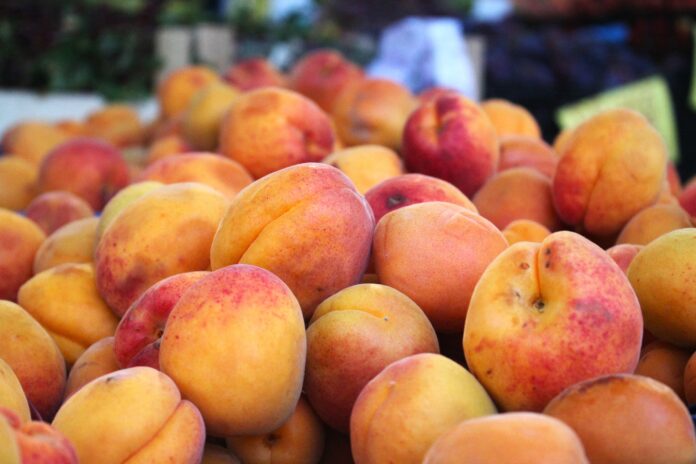 IMG_0281