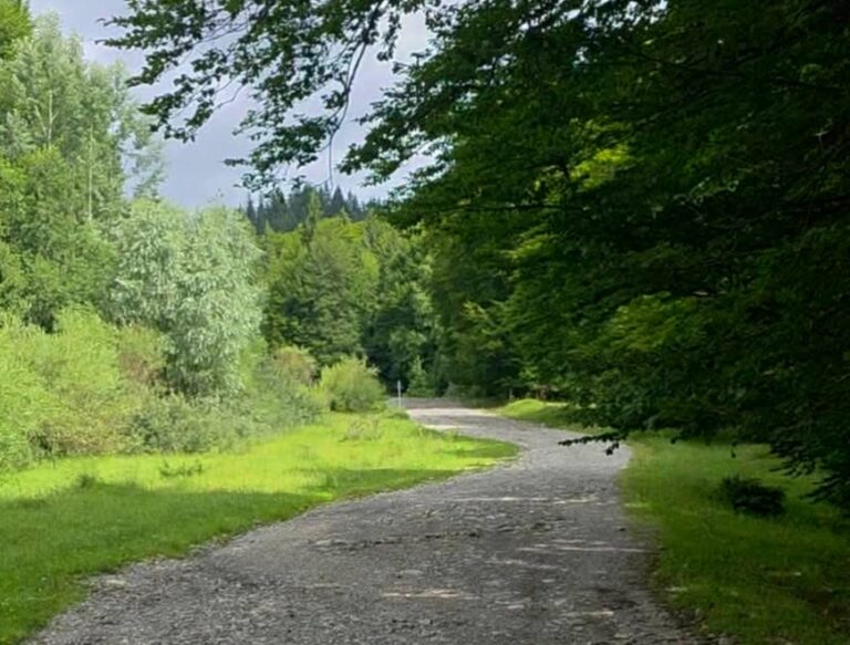 Zi istorică pentru județul Dâmbovița! Drumul către Peștera–Padina intră într-o nouă eră! Investiție uriașă pentru modernizarea drumului județean montan 714