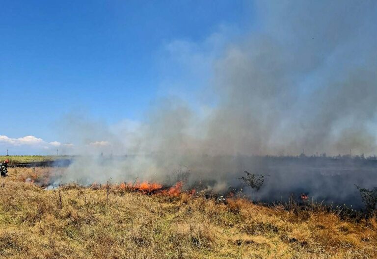 4 hectare de vegetație uscată, distruse la Nucet de un incendiu puternic! Pompierii târgovișteni au intervenit de urgență pentru stingerea flăcărilor
