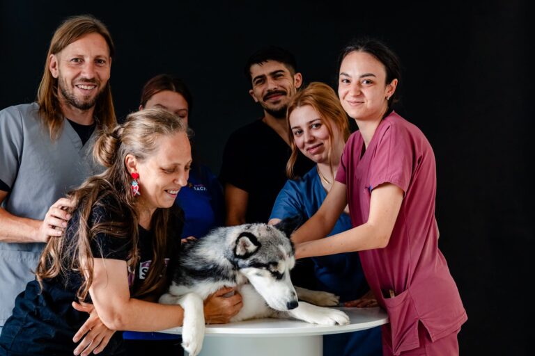 O rază de speranță pentru animalele abandonate! Primul spital veterinar social din România și-a deschis oficial porțile în Dâmbovița