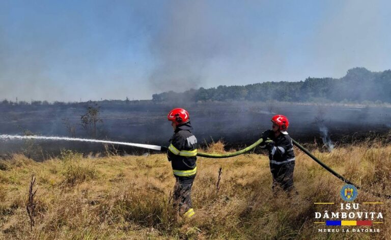 Județul Dâmbovița, sub asediul incendiilor! Aproape 20 de hectare de vegetație uscată au ars într-o singură. Apelul pompierilor dâmbovițeni