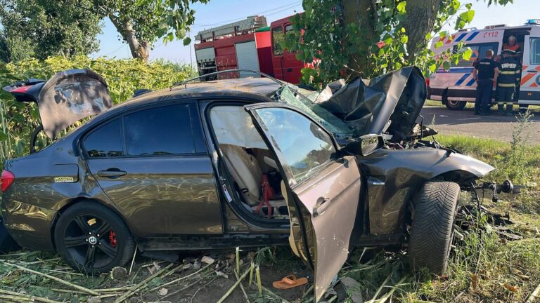 Impact fatal cu un copac! Doi bărbați au pierit pe loc! Alte două persoane, transportate de urgență la spital