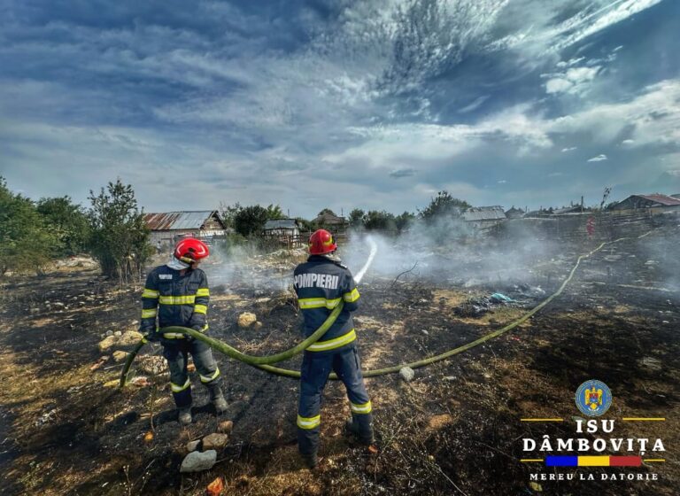 Panică în zona Romlux a orașului Târgoviște după izbucnirea unui incendiu violent de vegetație! A fost emisă alertă Ro-Alert din cauza fumului dens