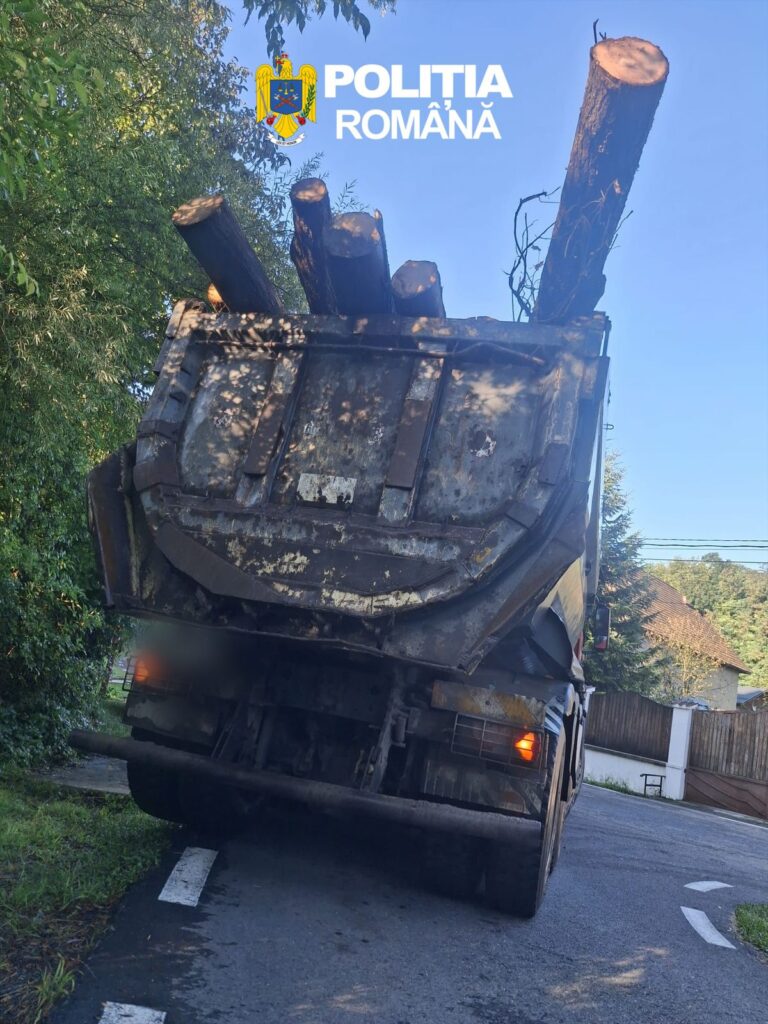 Transport ilegal de lemne, depistat în Dâmbovița! Șoferul a rămas fără întreaga încărcătură