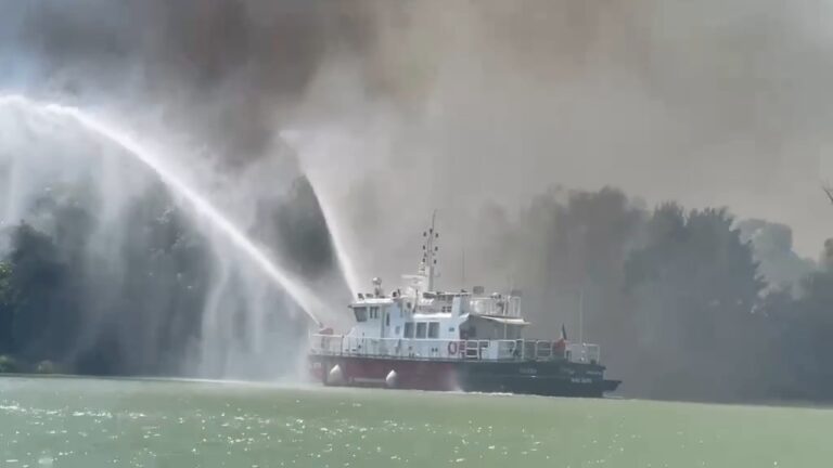 Foc uriaș în Delta Dunării! 700 de hectare de vegetație, cuprinse de flăcări în zona Ostrovului Babina. Se acționează de zor pentru stingerea incendiului de amploare