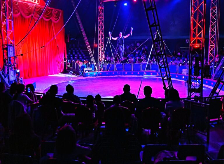 Magie, risc și adrenalină! Circul Orlando continuă reprezentațiile la Târgoviște! Spectacole care îți taie respirația și te țin cu sufletul la gura neîncetat