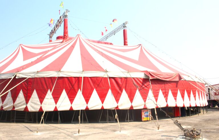 Magie, adrenalină și spectacol la Târgoviște! Circul Orlando a (re)venit în oraș cu un show spectaculos și de neratat