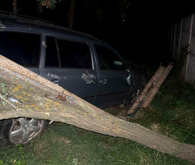 Noapte de coșmar pe Valea Dâmboviței! Două tinere, la un pas de nenorocire din cauza unui cal lăsat nesupravegheat. Mașină facută praf într-un cap de pod, după o manevră disperată de evitare